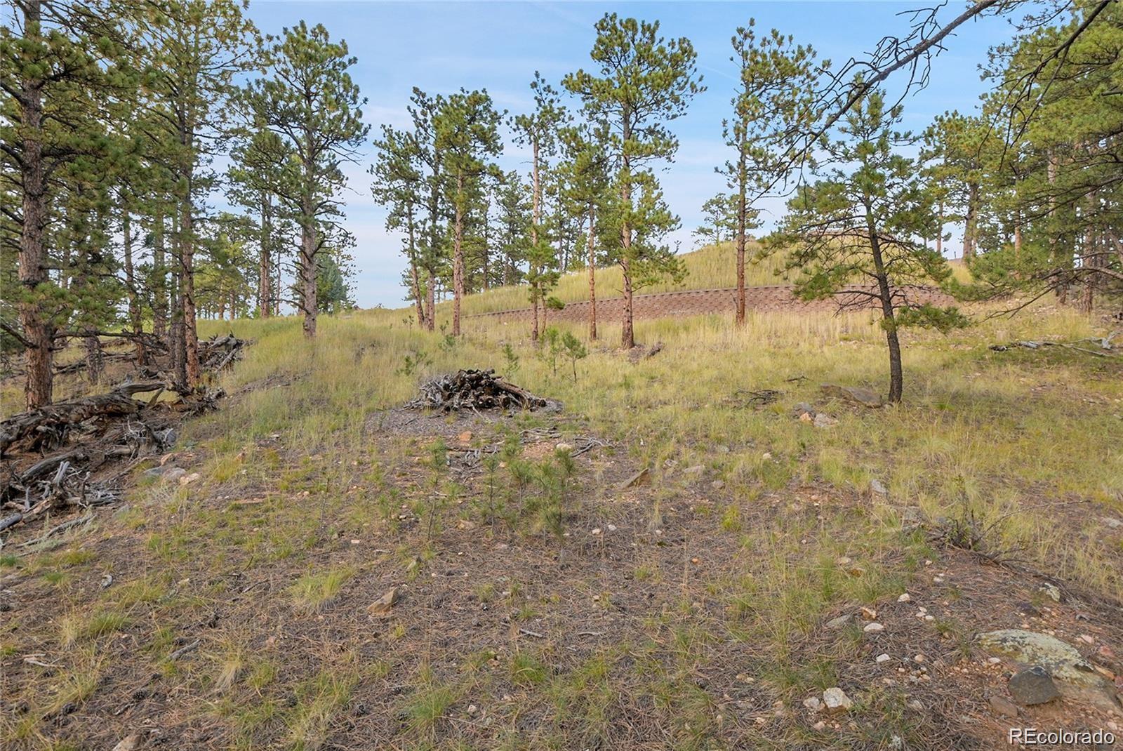 2317 Wieler Road Evergreen, CO 80439 - Photo 24 of 26 a view of yard covered with green space