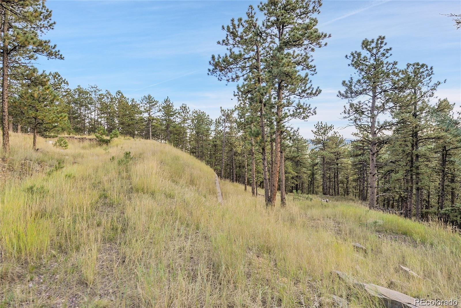 2317 Wieler Road Evergreen, CO 80439 - Photo 6 of 26 a view of a yard with trees