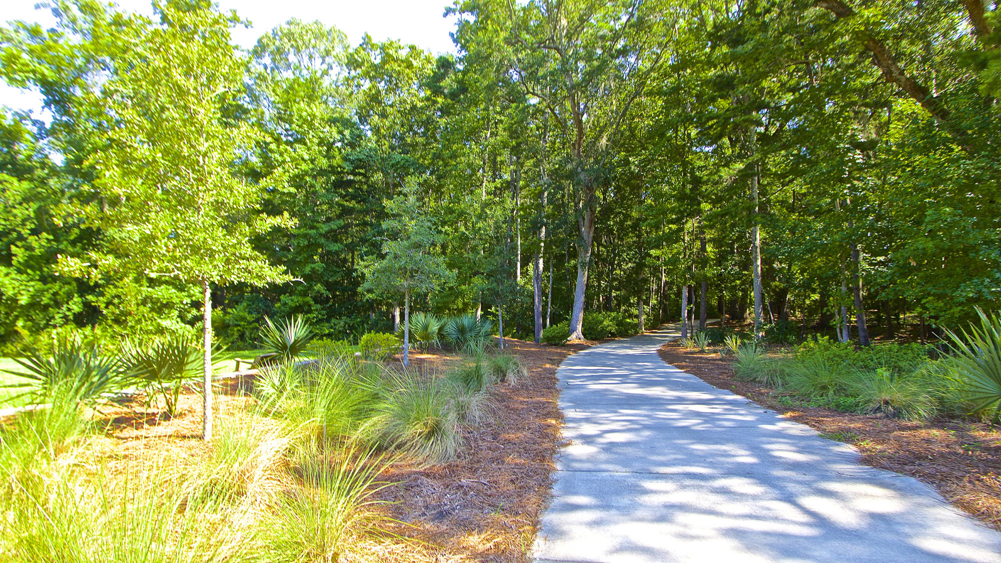 1865 Bermuda Stone Road Charleston, SC 29414 - Photo 41 of 43 IMG_1268