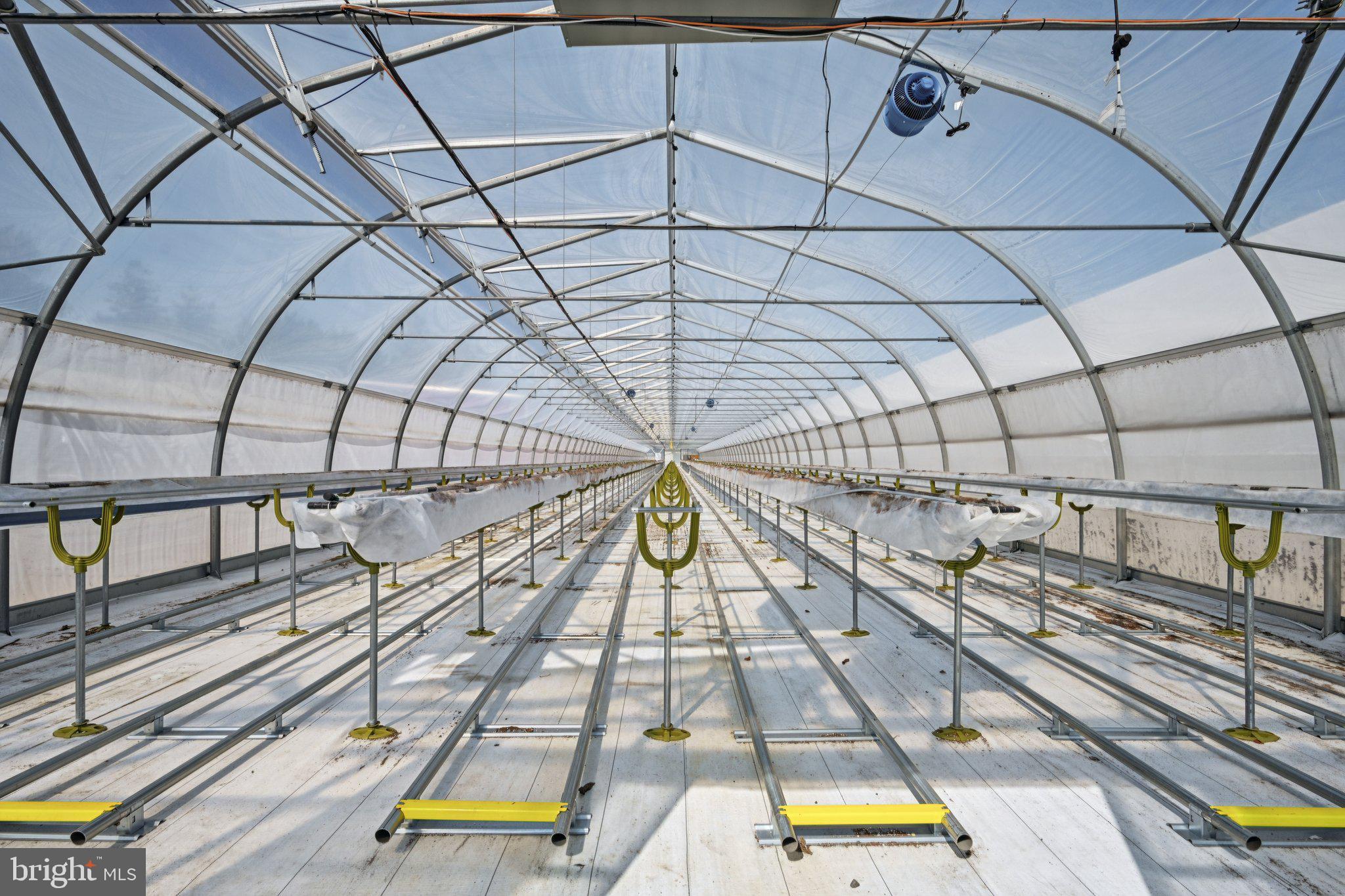 1001 South West Avenue Vineland, NJ 08360 - Photo 6 of 61 Harnois High Tunnel Interior
