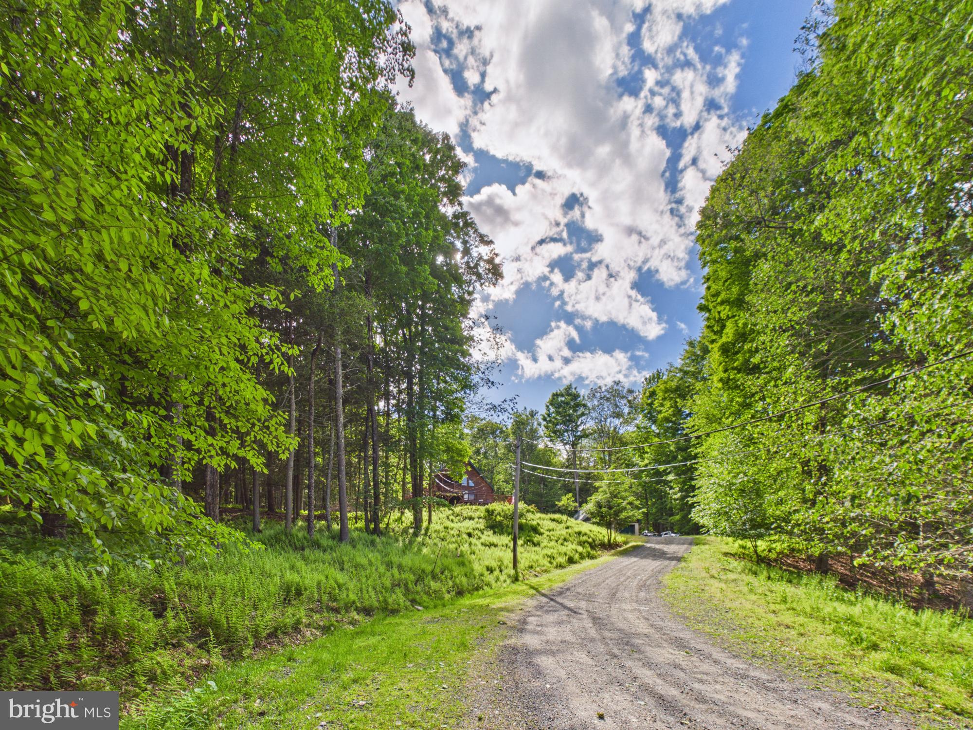 477 Finn Swamp Road Lakeville, PA 18438 - Photo 28 of 53 Private gravel driveway