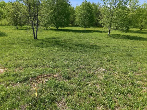 $150,000 | 0 Woodard Road, Springfield, TN 37172