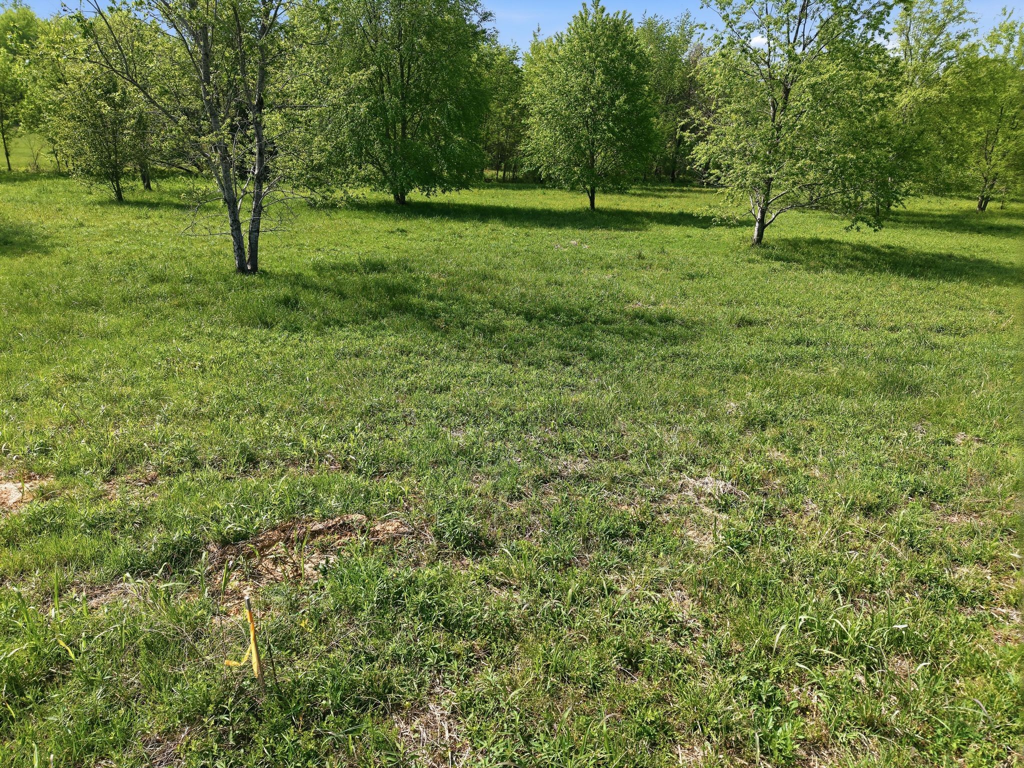 0 Woodard Road Springfield, TN 37172 - Photo 11 of 21