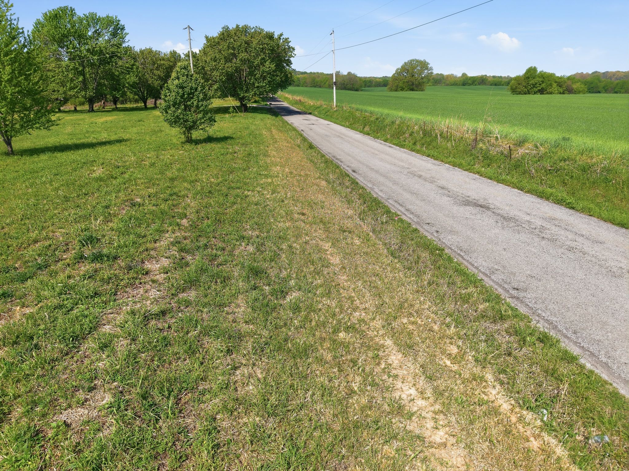 0 Woodard Road Springfield, TN 37172 - Photo 12 of 21