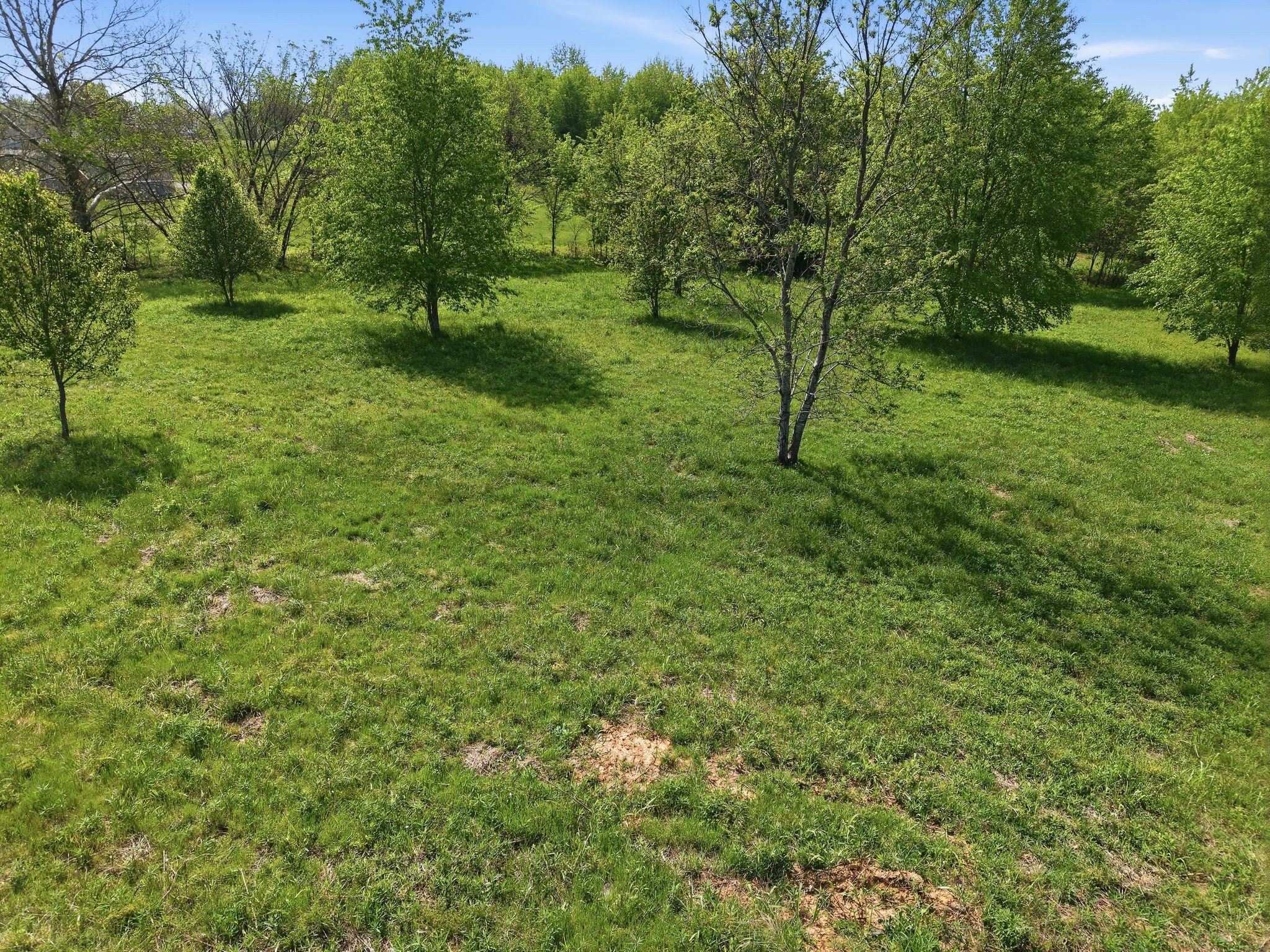 0 Woodard Road Springfield, TN 37172 - Photo 13 of 21