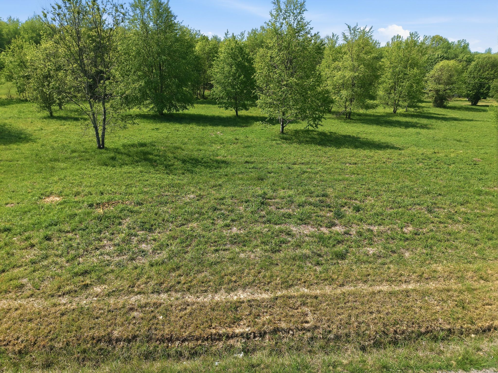 0 Woodard Road Springfield, TN 37172 - Photo 14 of 21