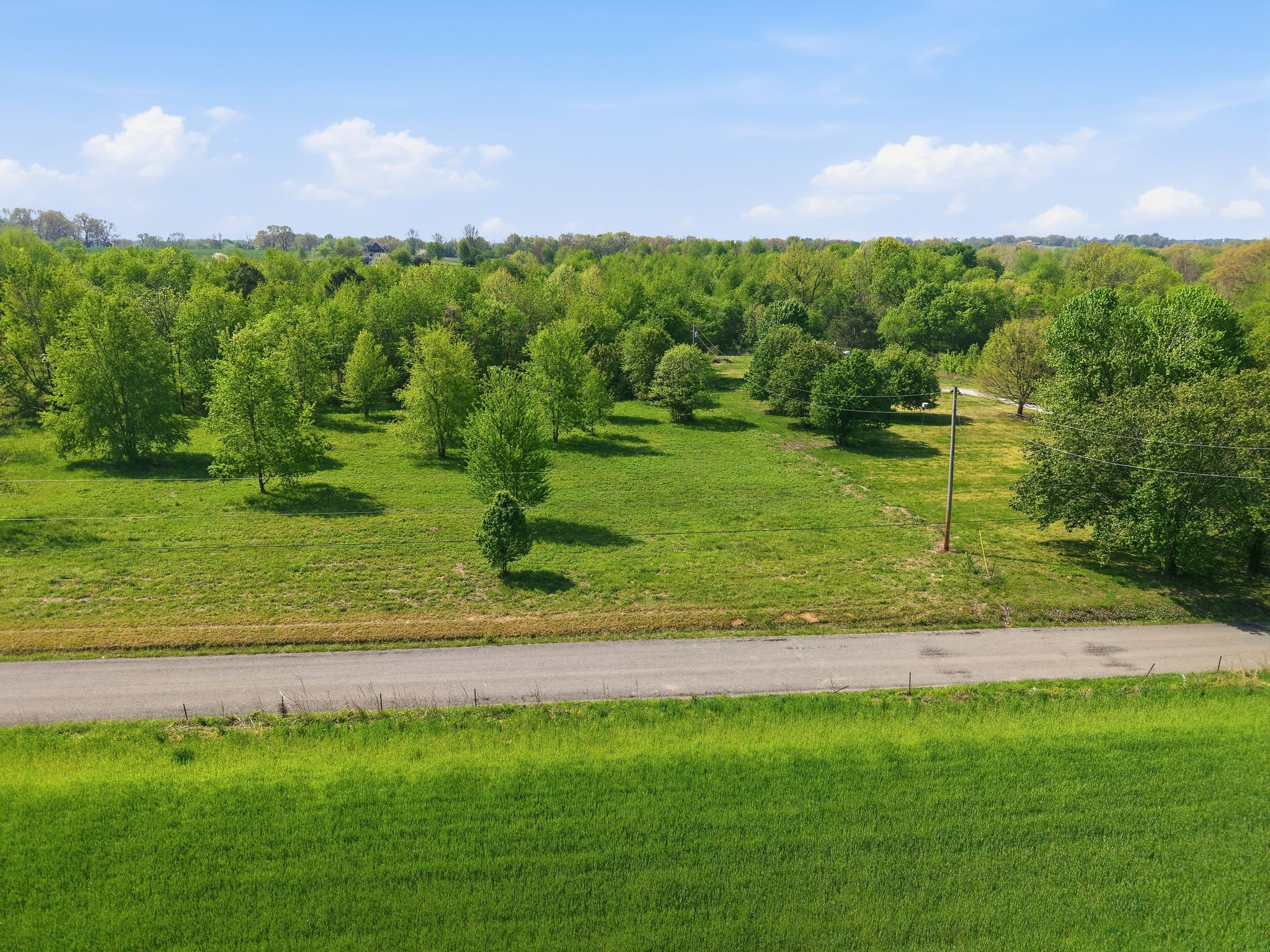 0 Woodard Road Springfield, TN 37172 - Photo 15 of 21