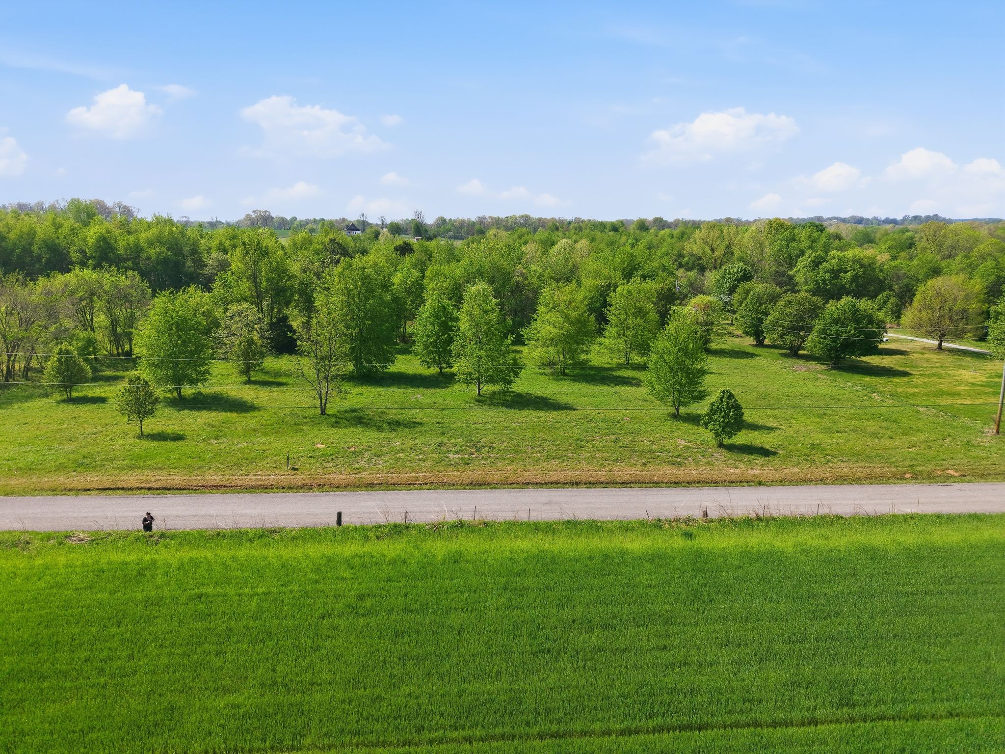 0 Woodard Road Springfield, TN 37172 - Photo 16 of 21