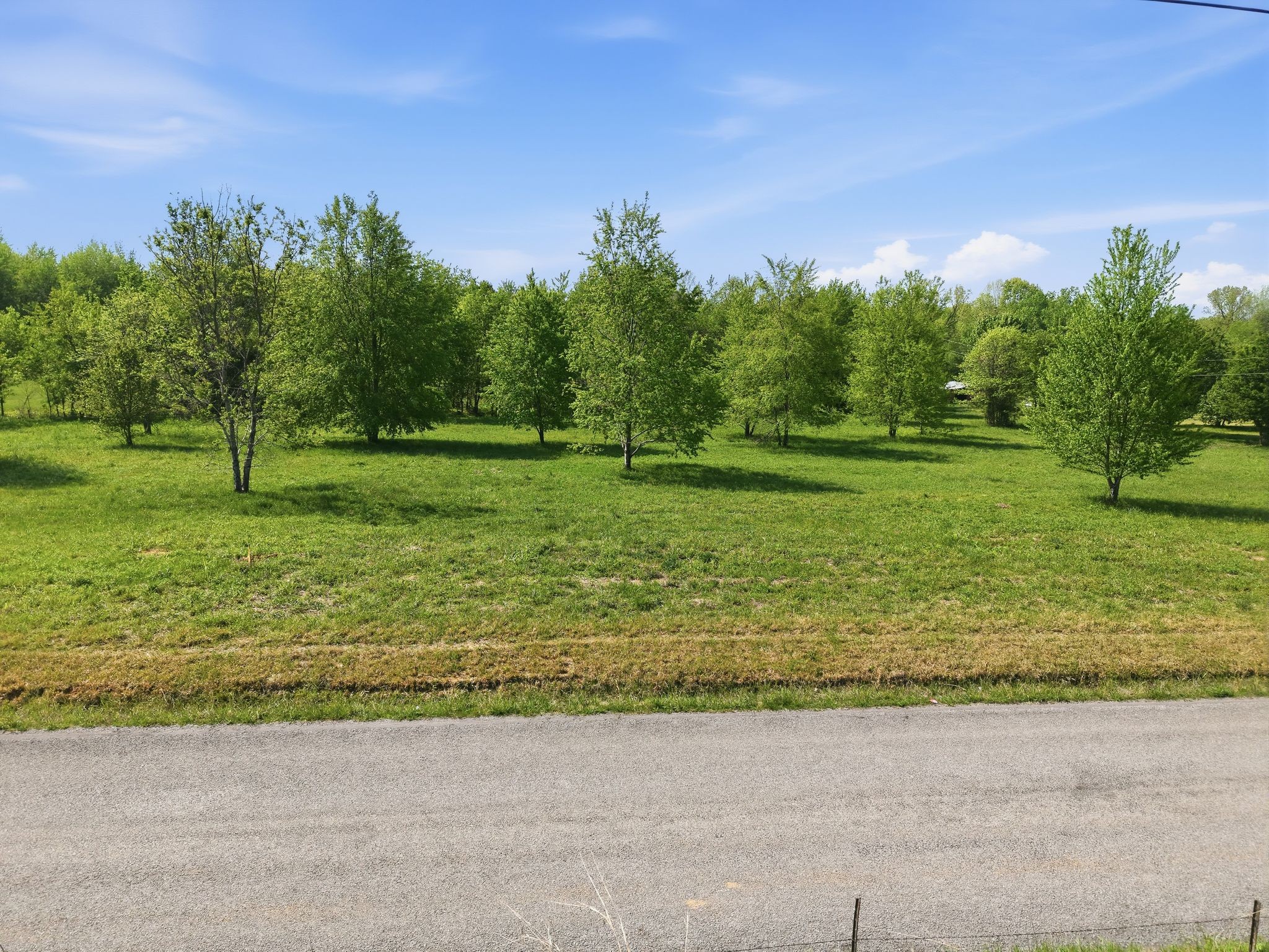 0 Woodard Road Springfield, TN 37172 - Photo 19 of 21