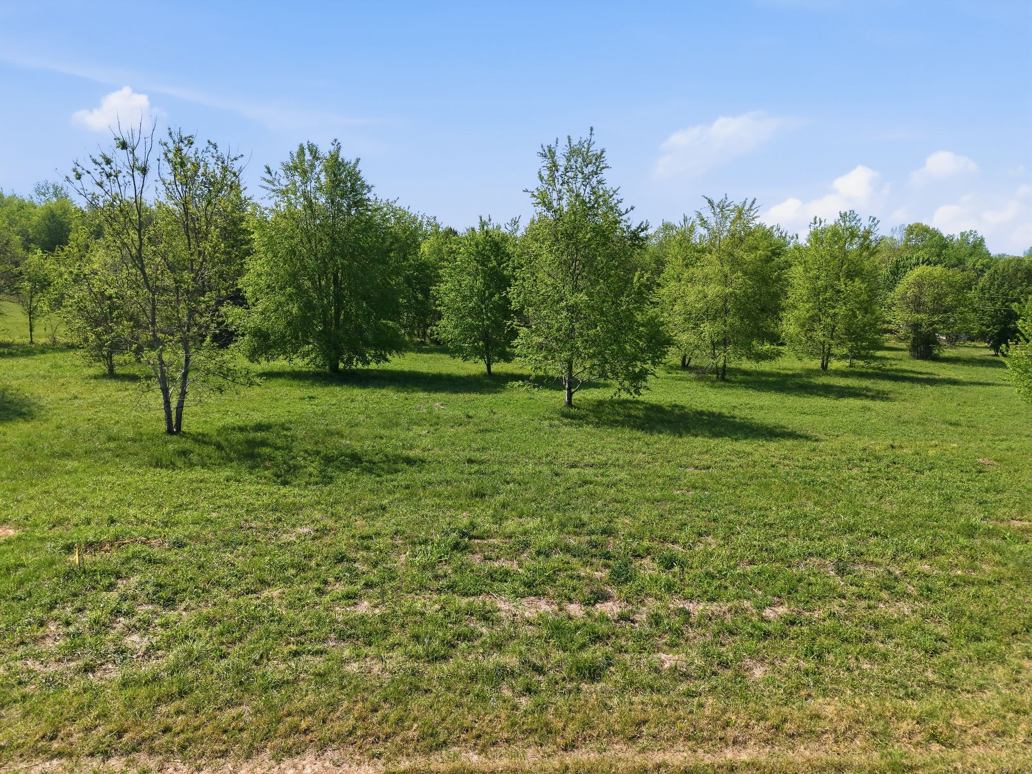 0 Woodard Road Springfield, TN 37172 - Photo 20 of 21