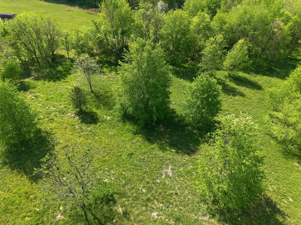 $150,000 | 0 Woodard Road, Springfield, TN 37172