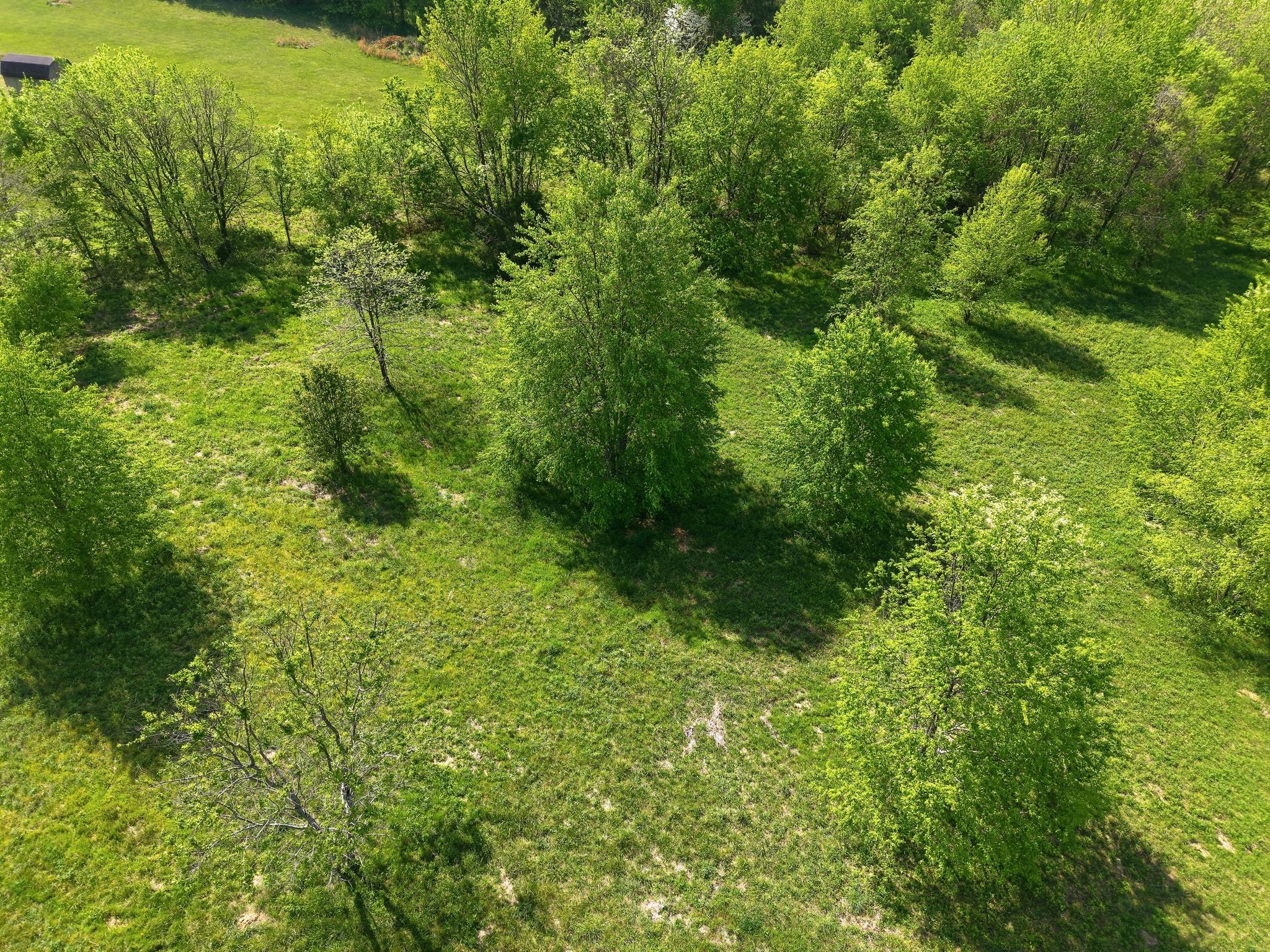 0 Woodard Road Springfield, TN 37172 - Photo 21 of 21