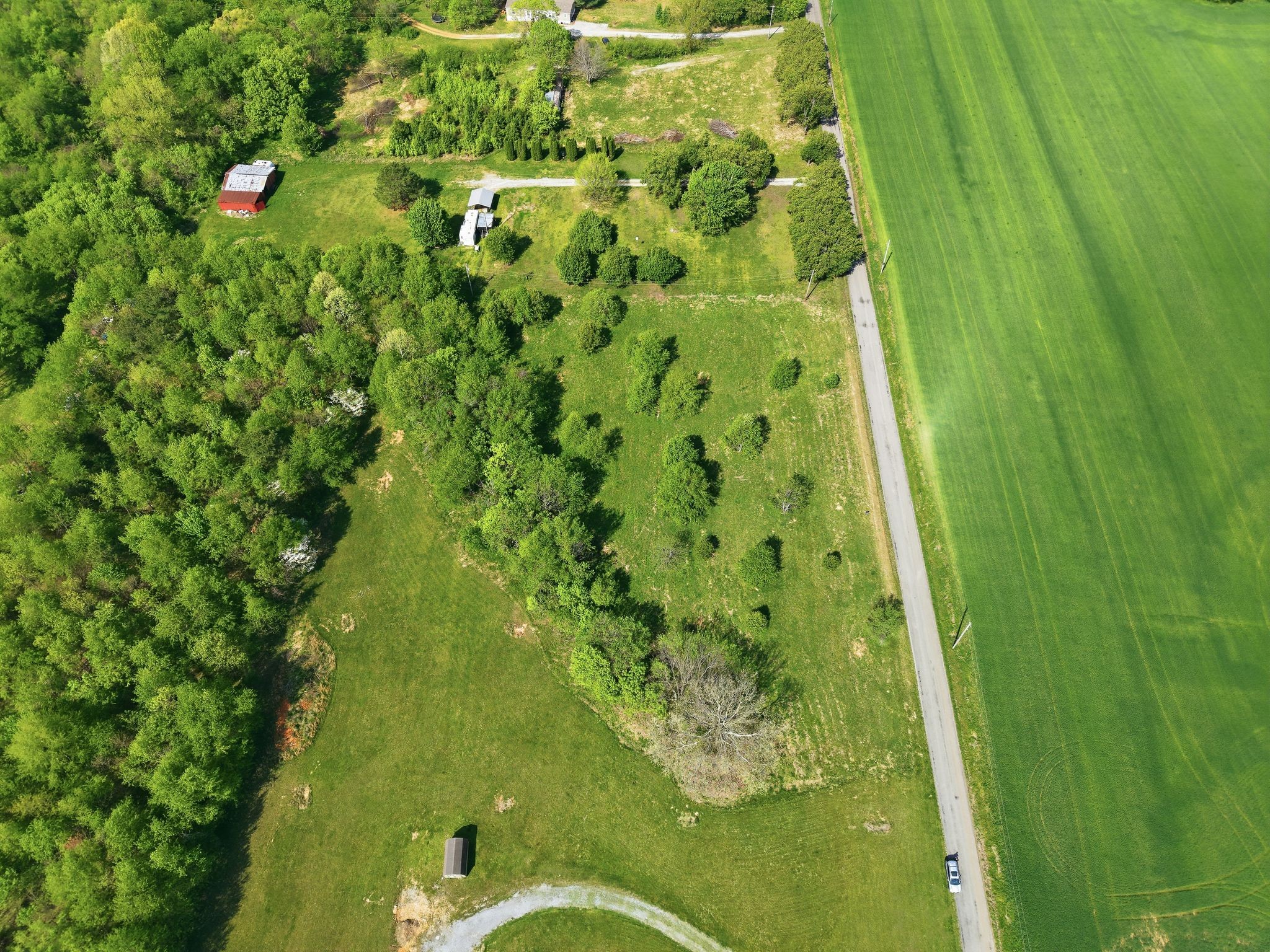 0 Woodard Road Springfield, TN 37172 - Photo 6 of 21