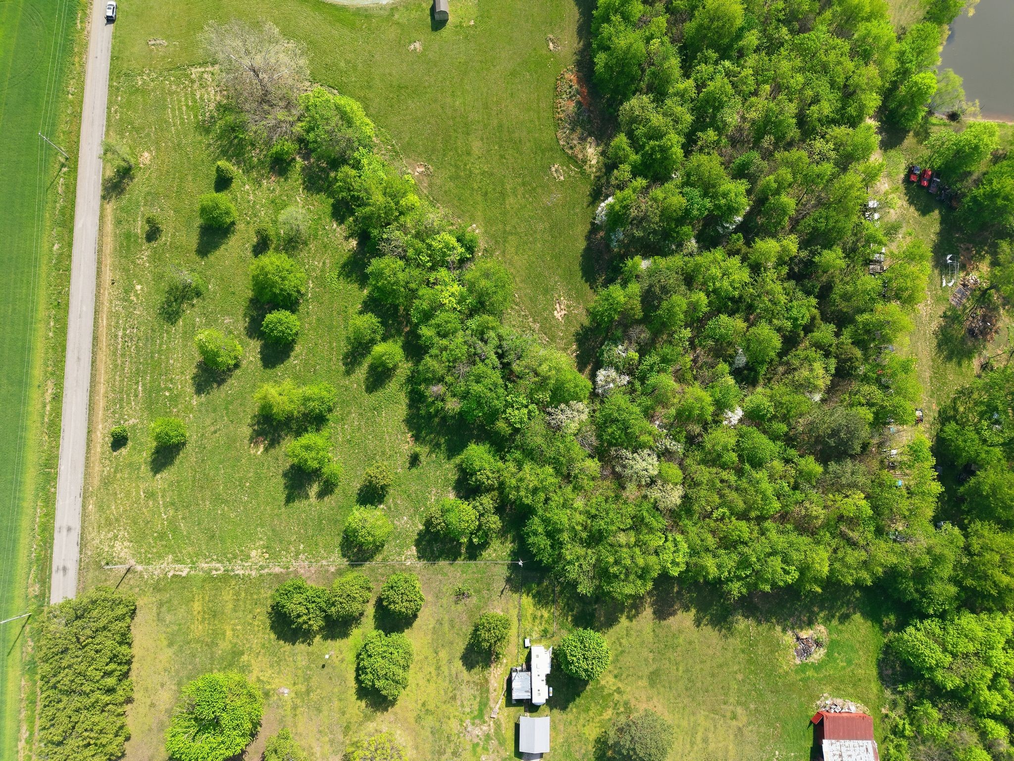 0 Woodard Road Springfield, TN 37172 - Photo 7 of 21