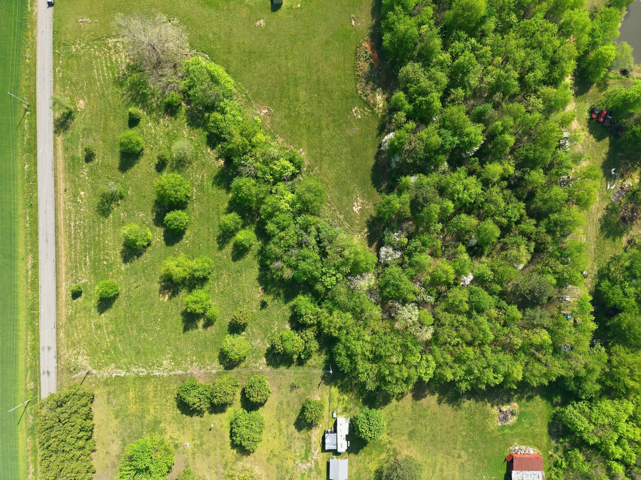 0 Woodard Road Springfield, TN 37172 - Photo 8 of 21