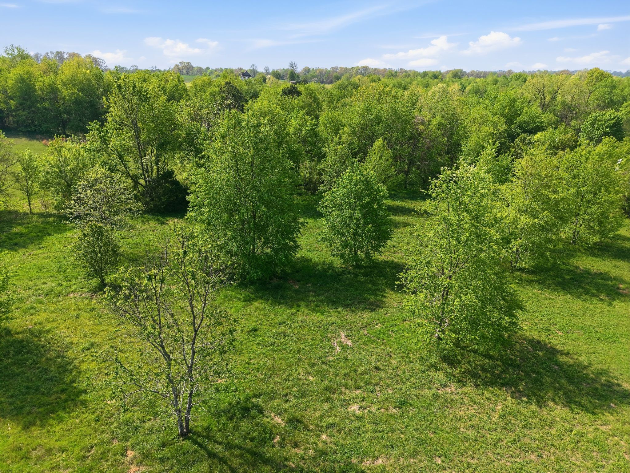 0 Woodard Road Springfield, TN 37172 - Photo 9 of 21