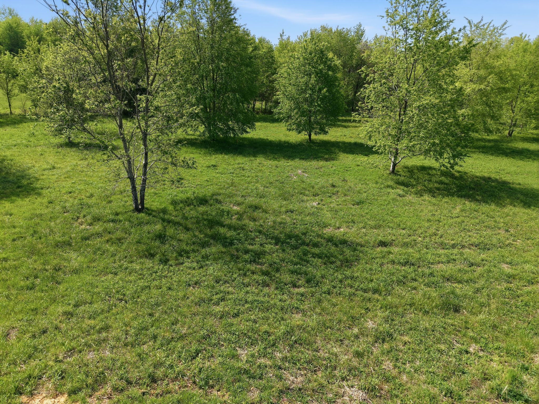 0 Woodard Road Springfield, TN 37172 - Photo 10 of 21