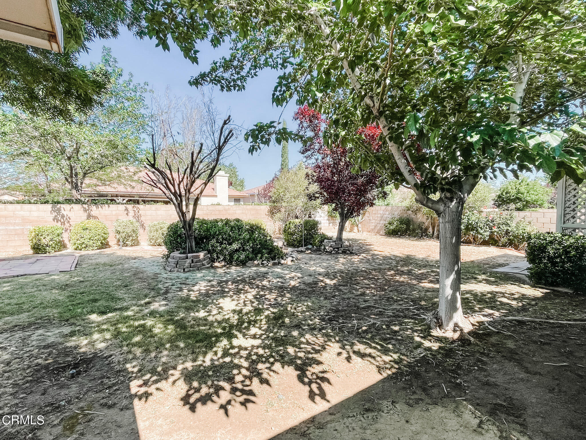 43323 Honeybee Lane Lancaster, CA 93536 - Photo 18 of 19 IMG_4637