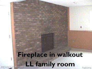4011 Cemetery Road Fowlerville, MI 48836 - Photo 8 of 9 fireplace LL