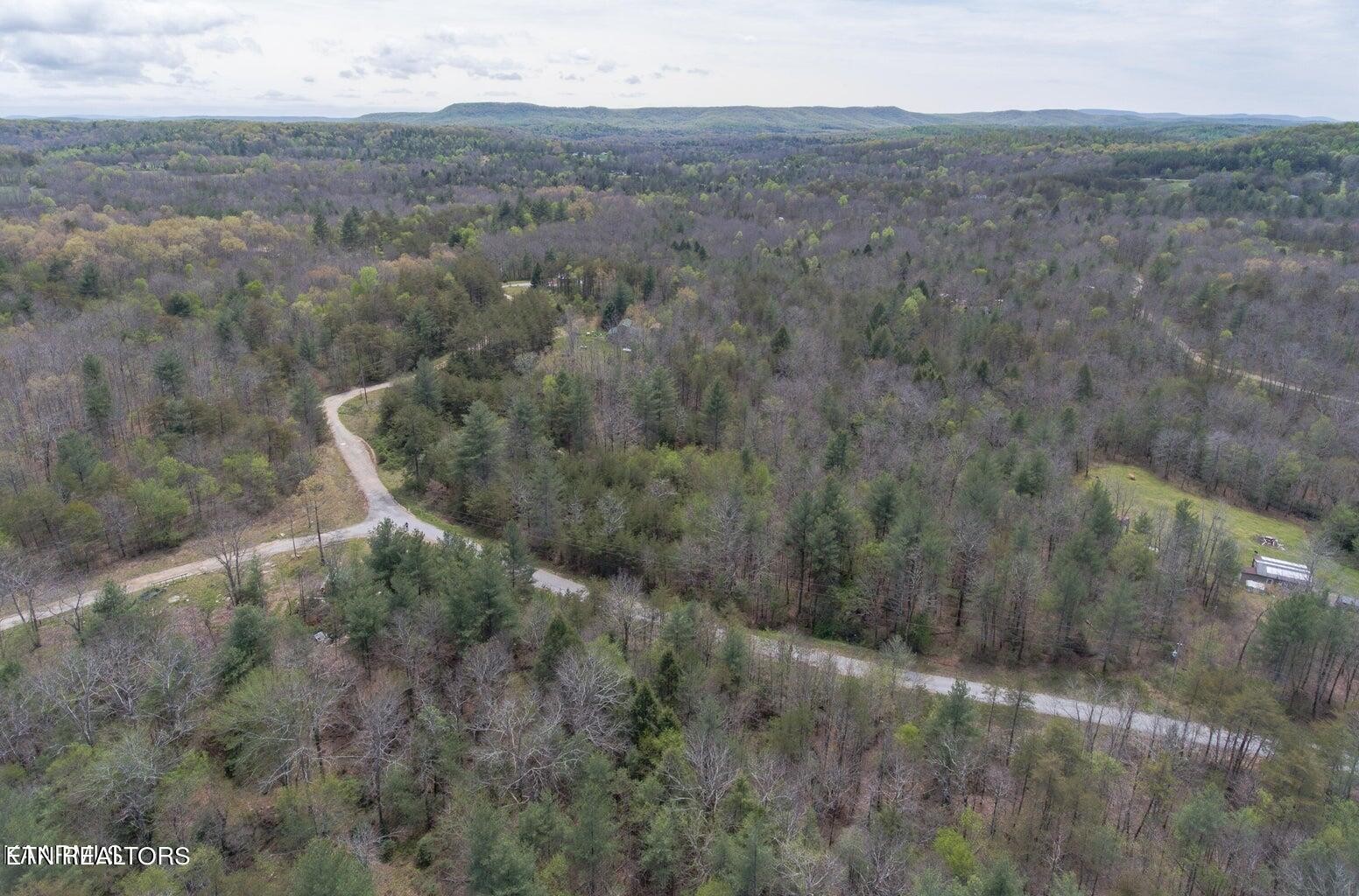 403 Ross Williams Road Lancing, TN 37770 - Photo 3 of 12 a view of a dry yard
