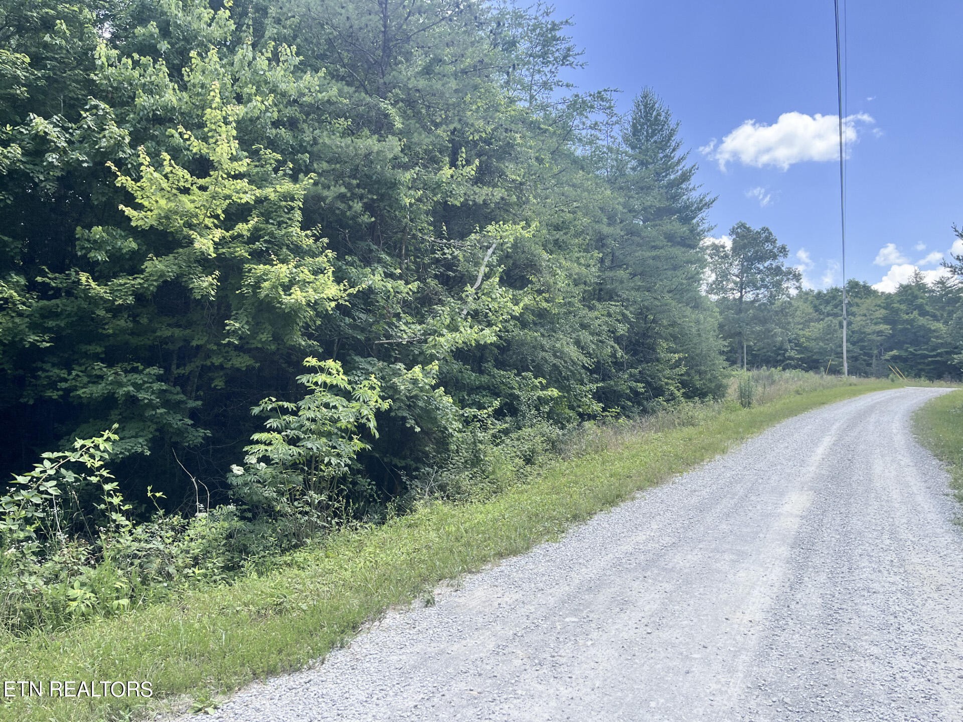 403 Ross Williams Road Lancing, TN 37770 - Photo 5 of 12 a view of a street both of side of green space
