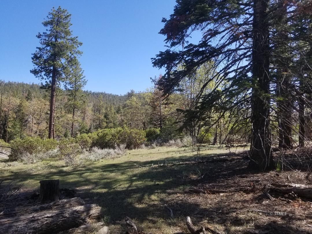 Piute Pines Caliente, CA 93518 - Photo 25 of 26
