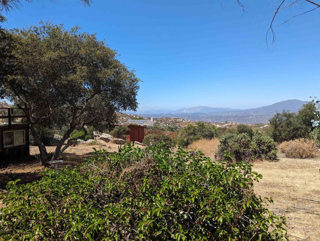 3910 Carveacre Road Alpine, CA 91901 - Photo 4 of 20 a view of a bunch of trees and bushes