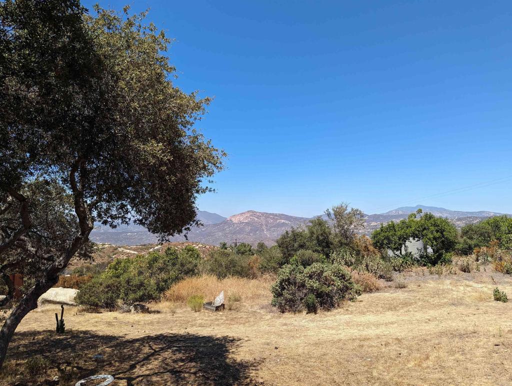 3910 Carveacre Road Alpine, CA 91901 - Photo 6 of 20 a view of a yard with a tree