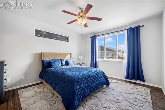 6854 Red Cardinal Loop Colorado Springs, CO 80908 - Photo 12 of 37 Primary bedroom featuring lots of natural light, ceiling fan, and LVP flooring
