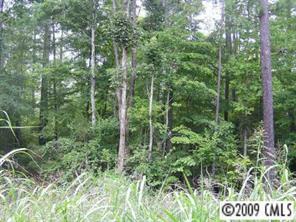 6 Sierra Road, Unit 6 York, SC 29745 - Photo 3 of 5 a view of a lush green forest