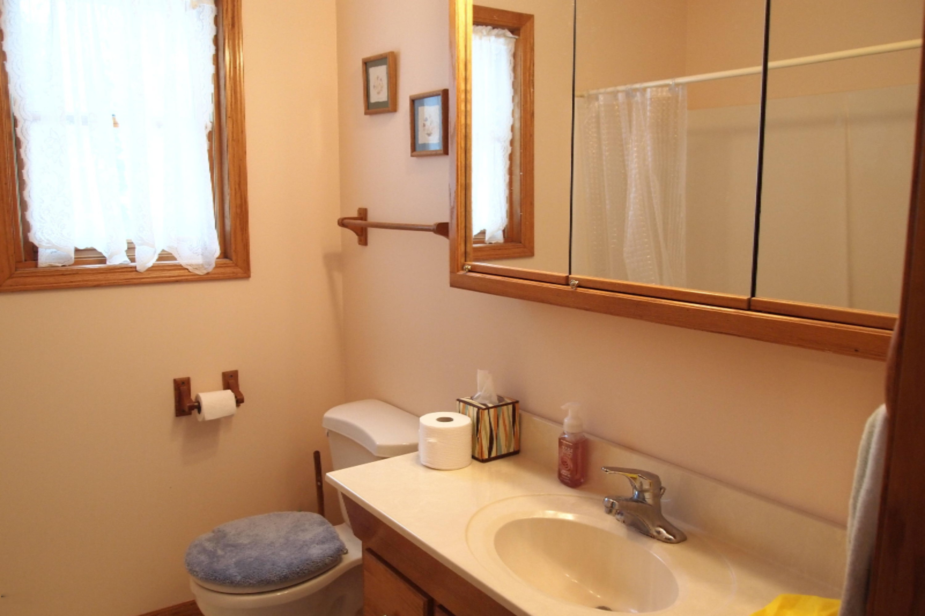 8649 Oak Road Evart, MI 49631 - Photo 12 of 16 Master Bathroom!