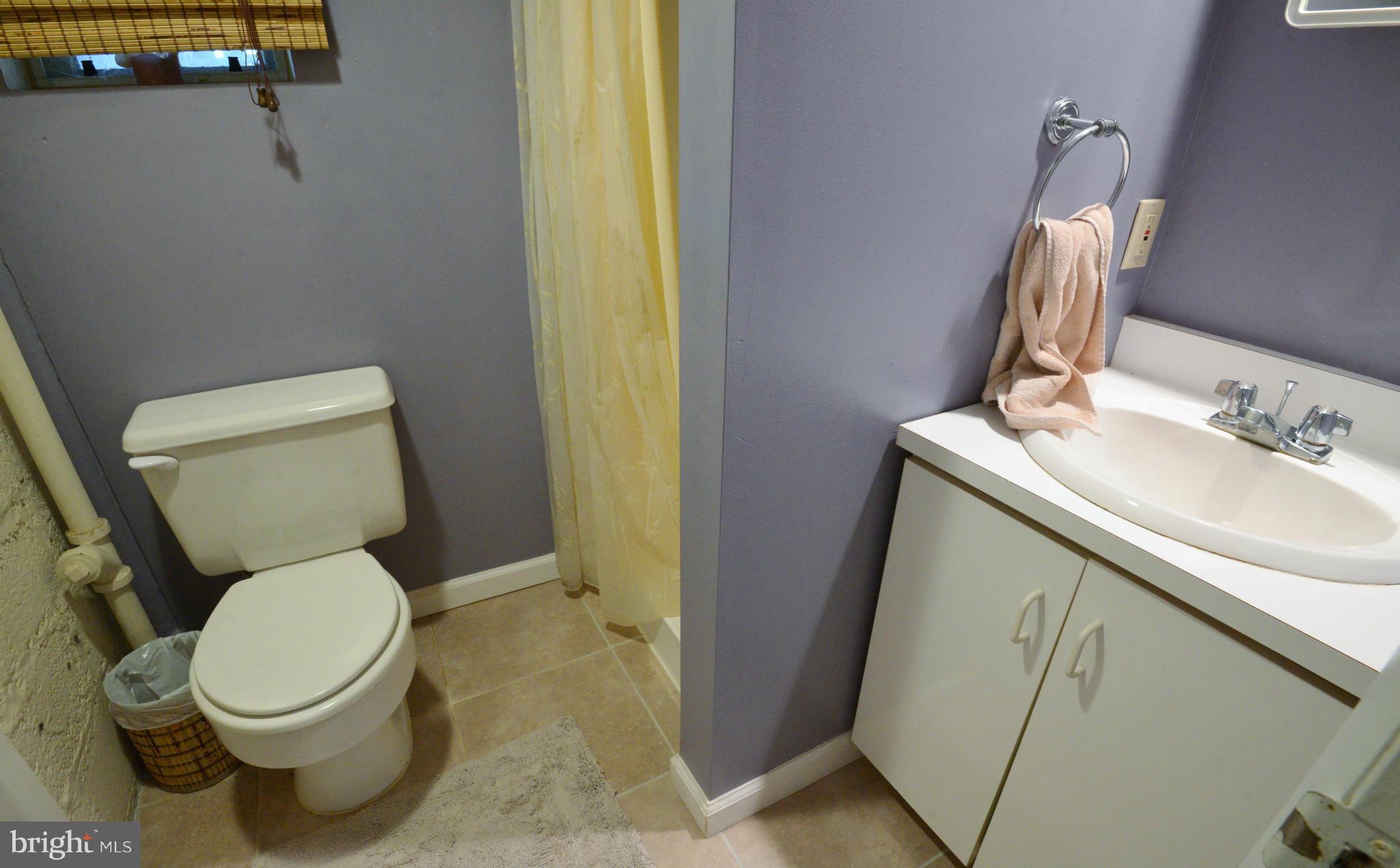 4453 Q Street Northwest Washington, DC 20007 - Photo 24 of 30 LL Full Bath 2 with Shower