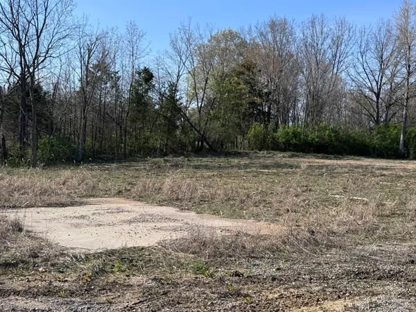 a view of a dry yard with trees