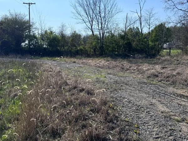 a view of a yard
