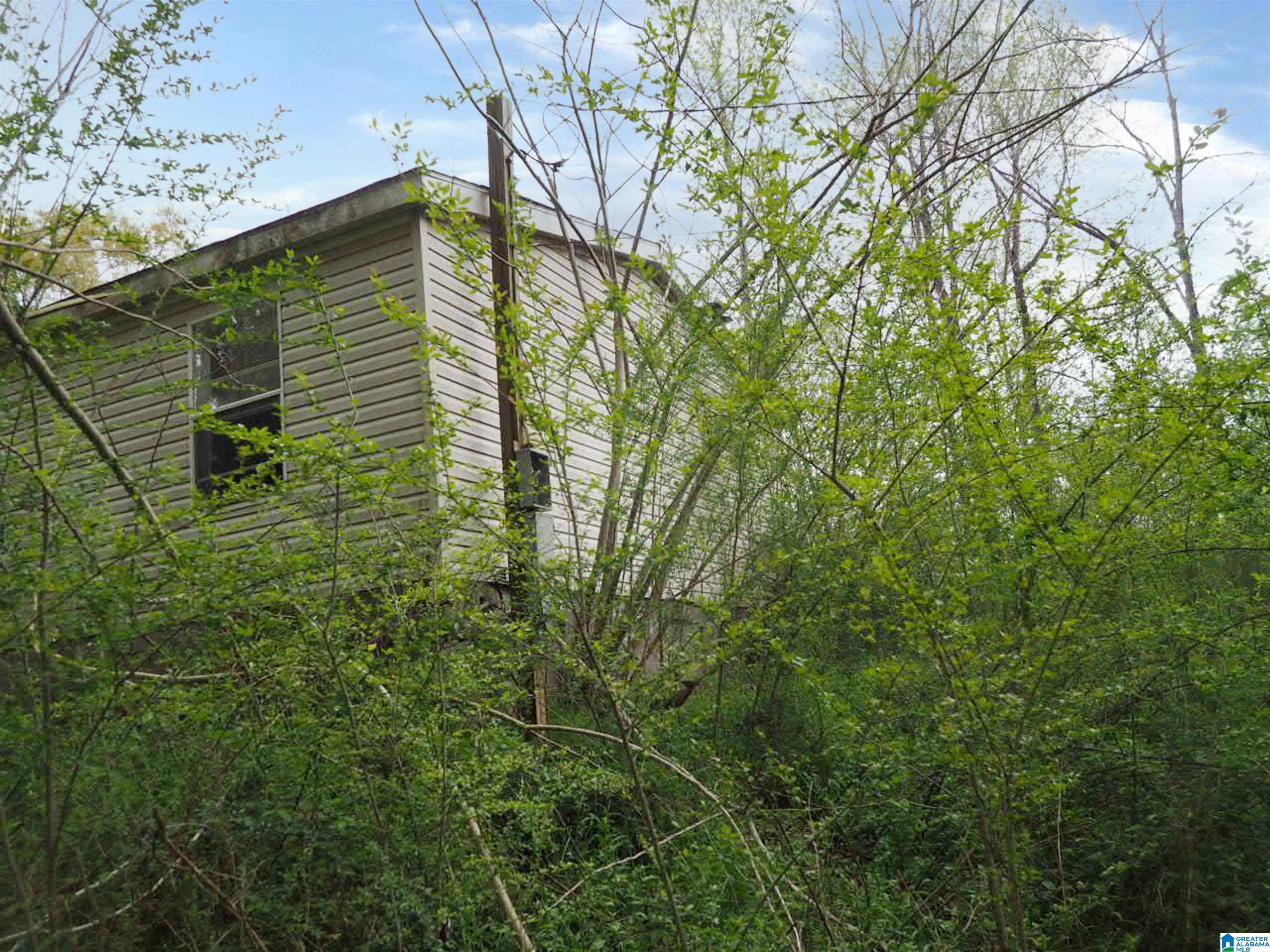 4731 Palos Road Dora, AL 35062 - Photo 17 of 17
