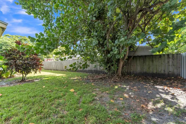 a view of backyard with tree