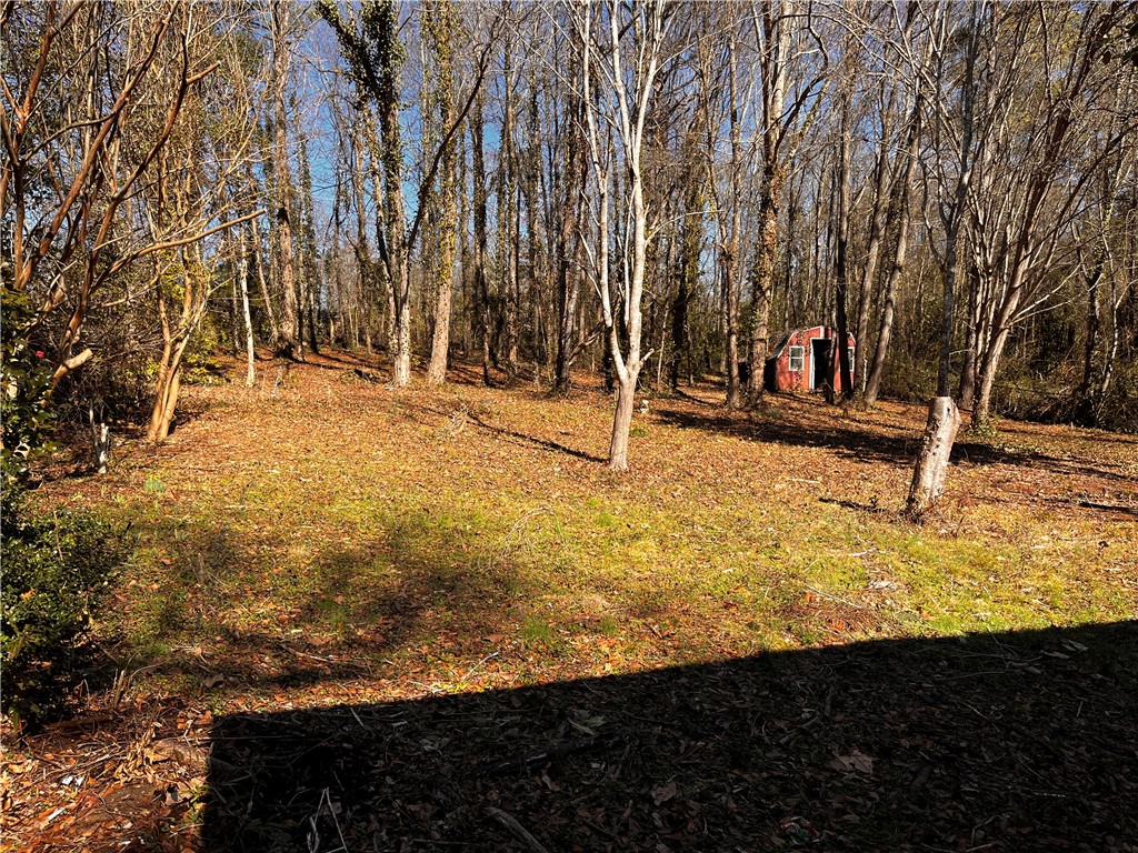 207 Skyview Drive Clemson, SC 29631 - Photo 17 of 18