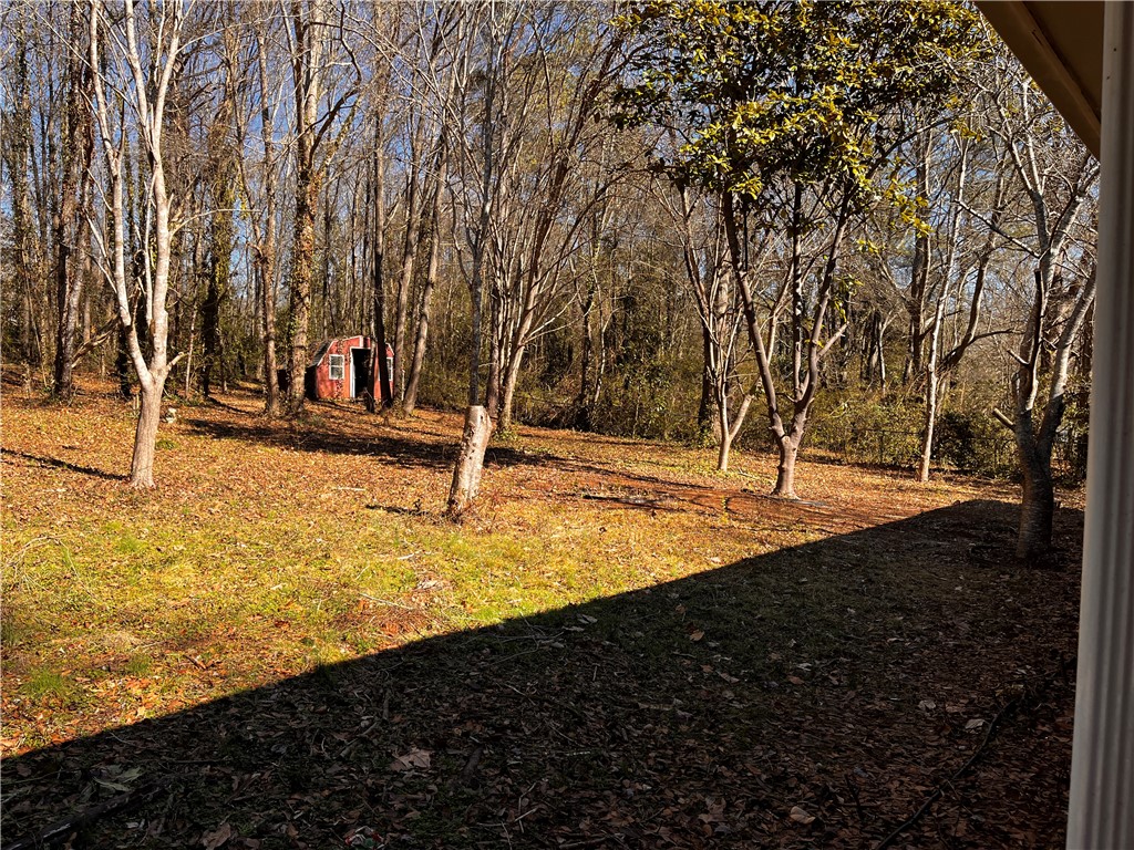 207 Skyview Drive Clemson, SC 29631 - Photo 18 of 18