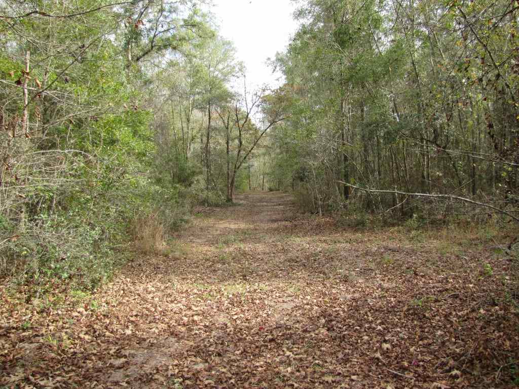 0 Southwest Captain Brown Road, Unit XXX Madison, FL 32340 - Photo 12 of 19 Gallery Image 12