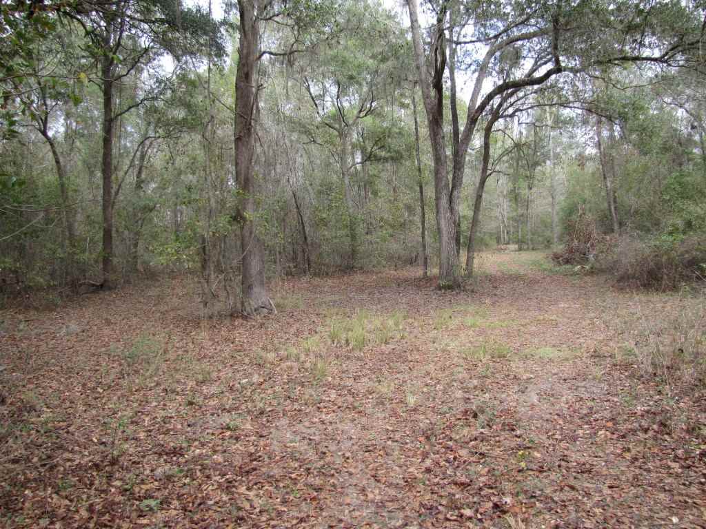 0 Southwest Captain Brown Road, Unit XXX Madison, FL 32340 - Photo 19 of 19 Gallery Image 19