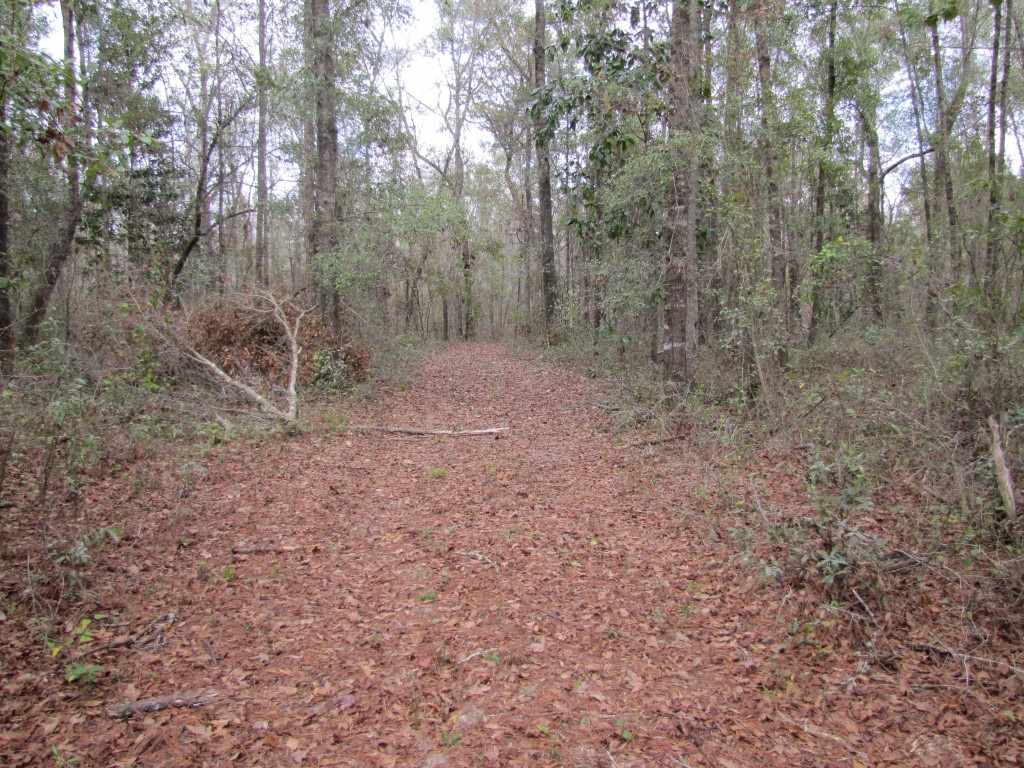 0 Southwest Captain Brown Road, Unit XXX Madison, FL 32340 - Photo 2 of 19 Gallery Image 2