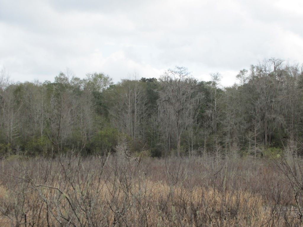 0 Southwest Captain Brown Road, Unit XXX Madison, FL 32340 - Photo 7 of 19 Gallery Image 7