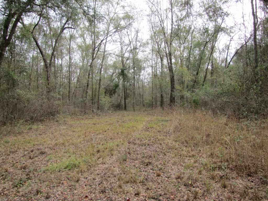 0 Southwest Captain Brown Road, Unit XXX Madison, FL 32340 - Photo 8 of 19 Gallery Image 8