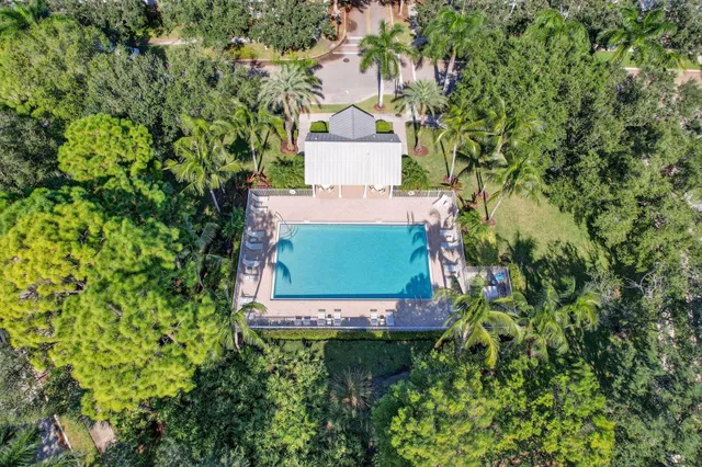 a view of a yard with plants