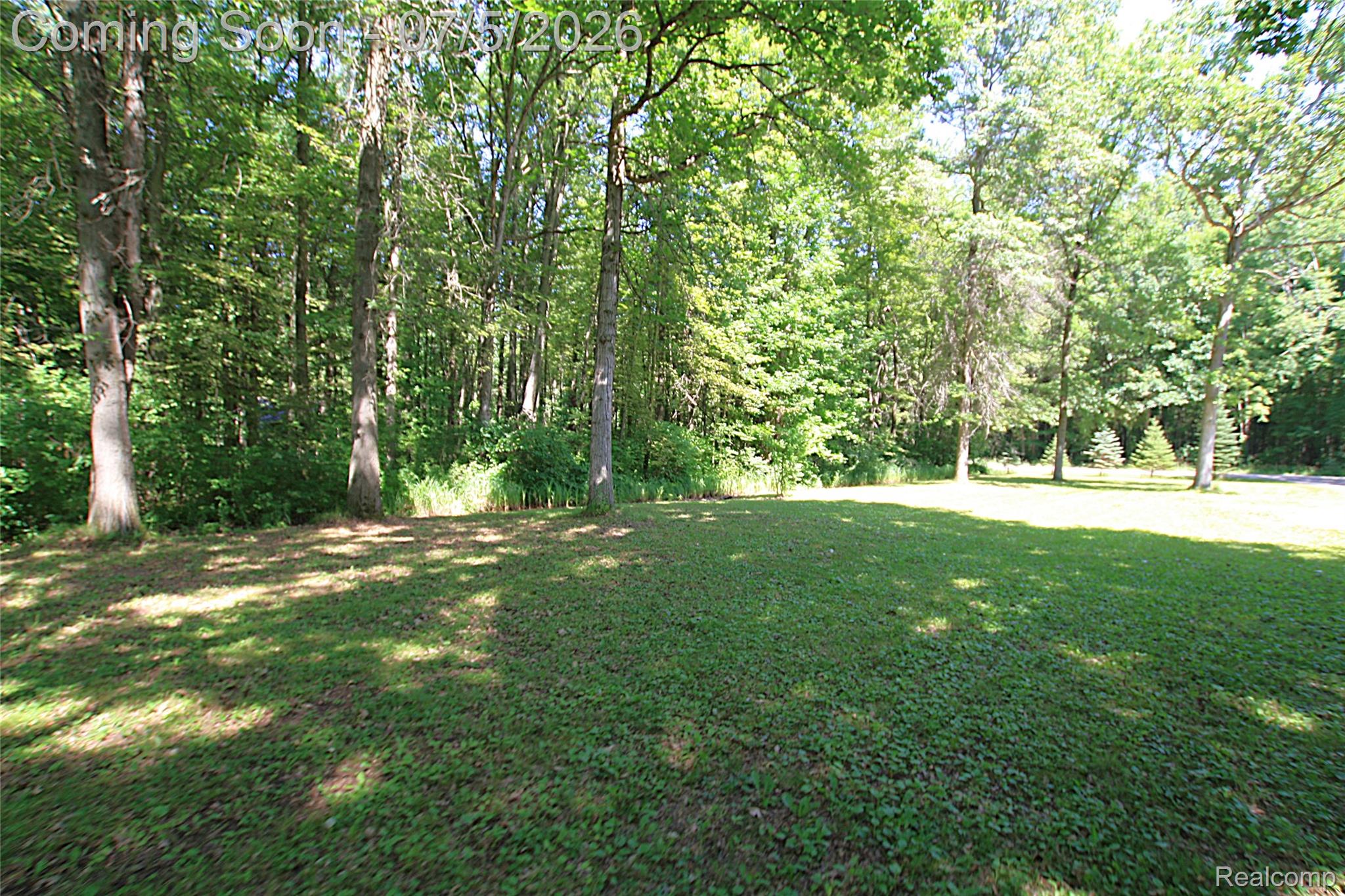 12403 Willard Road Montrose, MI 48457 - Photo 6 of 30 Expansive grassy area surrounded by mature trees, featuring a natural wooded backdrop