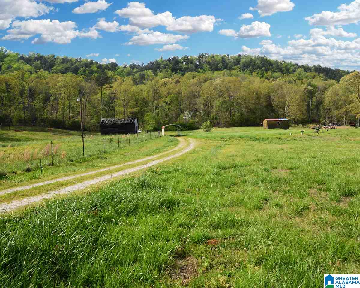 2091 Rabbittown Road, Unit 2 83 Piedmont, AL 36272 - Photo 6 of 17 Gallery Image 6