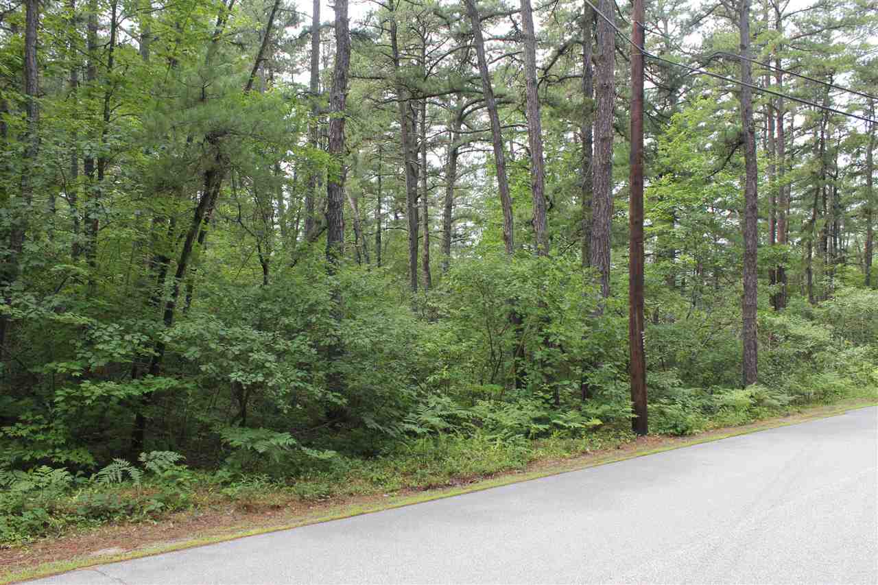 19 Broad Bay Road Ossipee, NH 03814 - Photo 3 of 10