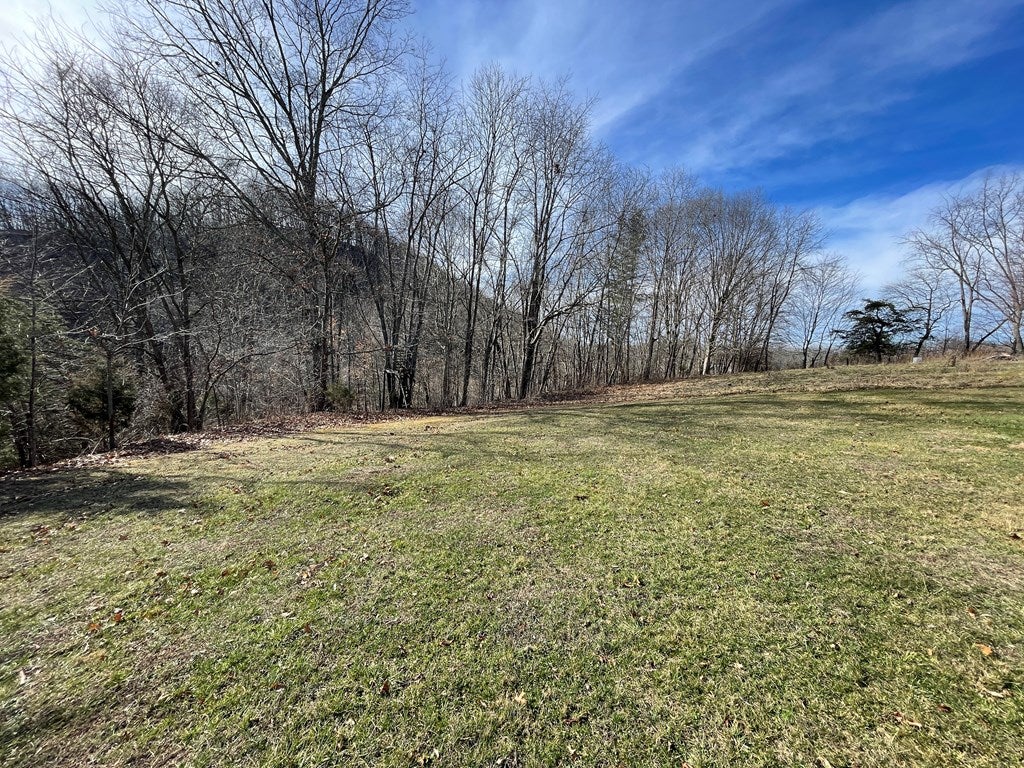 15586 Bishop Road Chilhowie, VA 24319 - Photo 67 of 71 Gallery Image 67