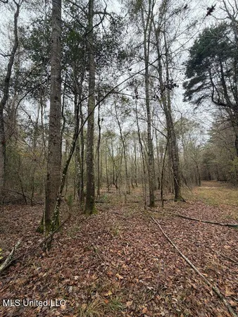 $297,500 | North Us-11 Highway, Pachuta, MS 39347