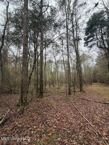 $307,646 | North Us-11 Highway, Pachuta, MS 39347